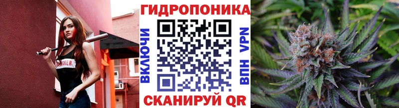 kraken ТОР  как найти   Жердевка  Канабис планчик 